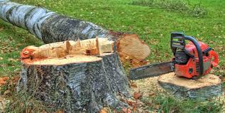 Leaf Removal in Clementon, NJ