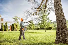Best Tree Trimming and Pruning  in Clementon, NJ